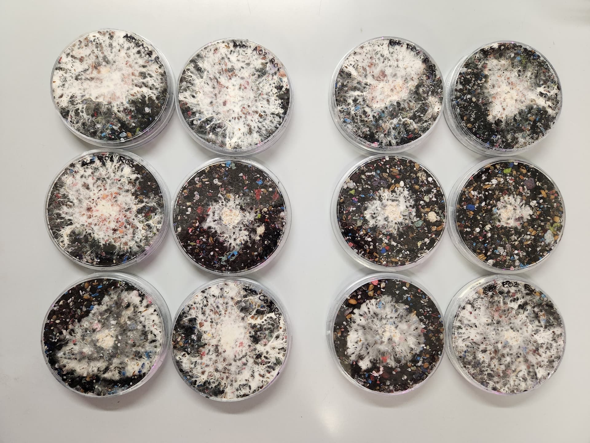 Mycelium panels