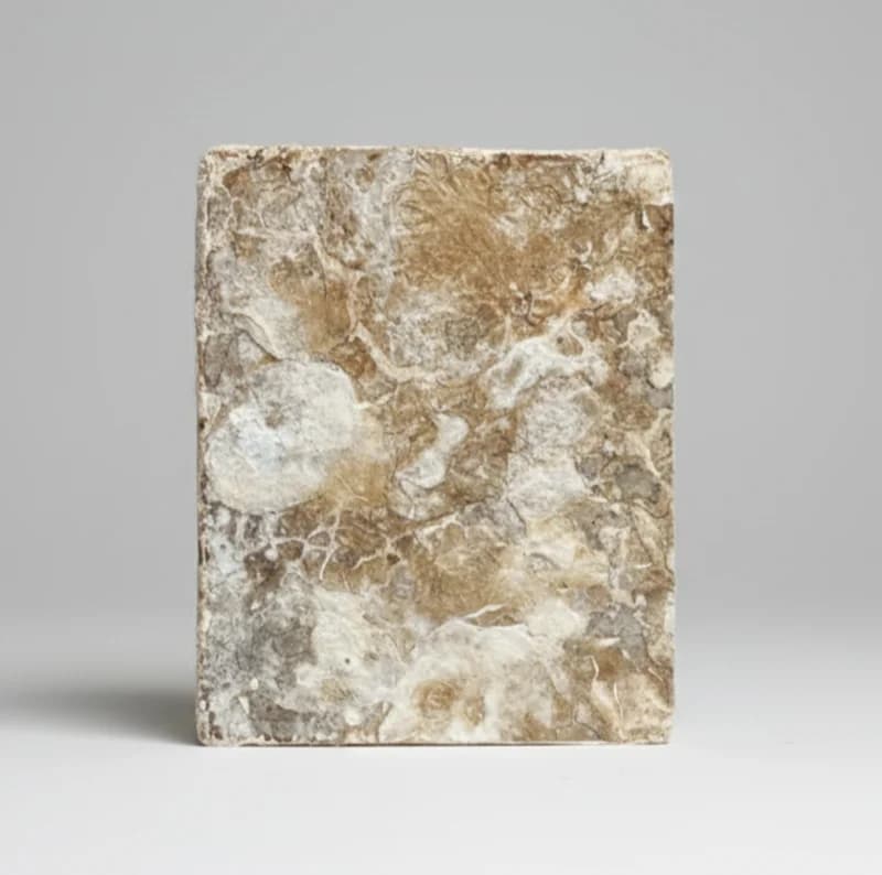Mycelium panel